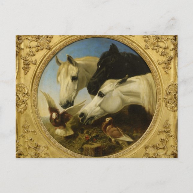 Carte Postale Chef-d'oeuvre cheval & colombe peinture John Herri (Devant)