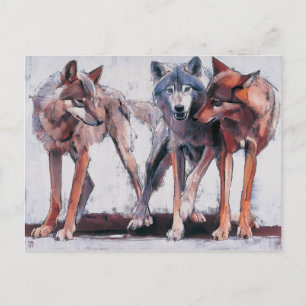 Carte Postale Chefs de Pack 2001