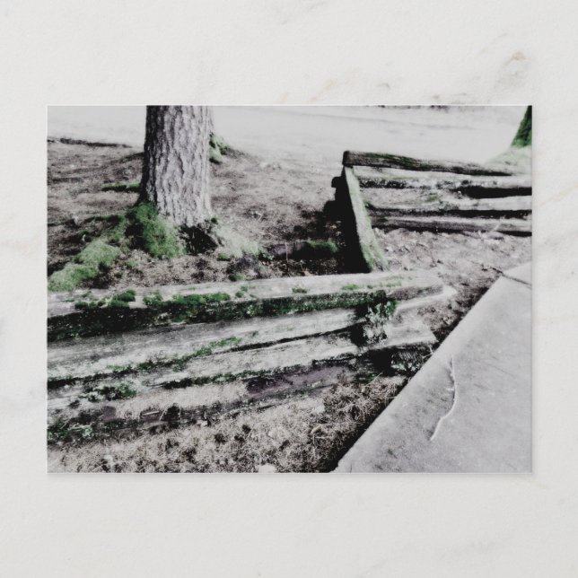 Carte Postale chemin (Devant)