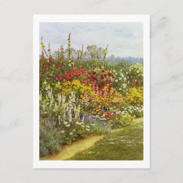 Carte Postale Chemin d'accès aux herbes et aux fleurs (Devant)