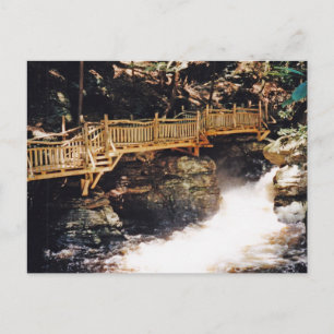 Carte Postale Chemin dangereux