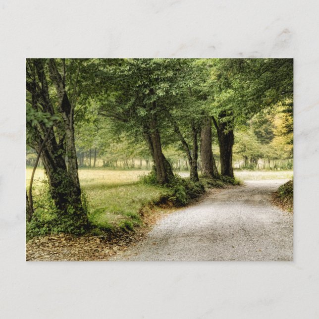 Carte Postale Chemin dans le pays (Devant)