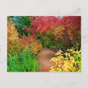 Carte Postale Chemin d'automne
