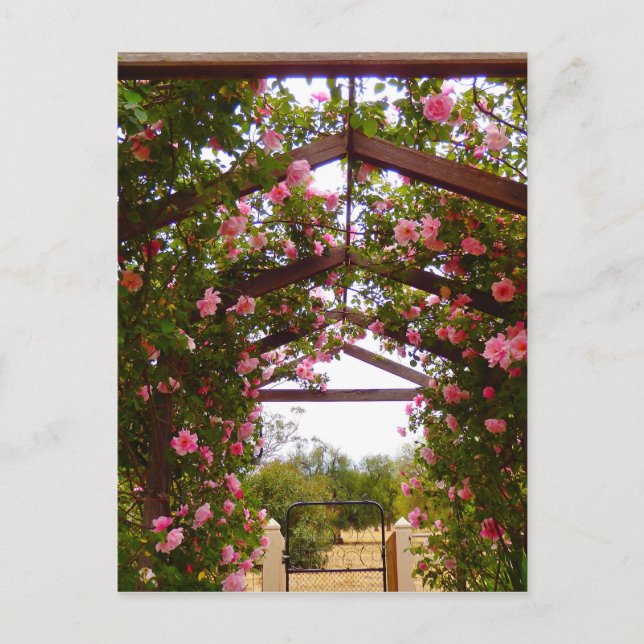 Carte Postale Chemin de fleurs couvert (Devant)