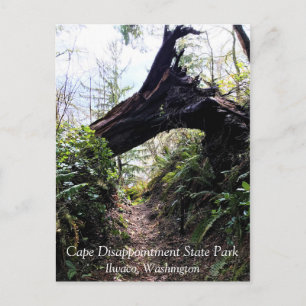Carte Postale Chemin de la boucle de la forêt côtière, Cape Disn
