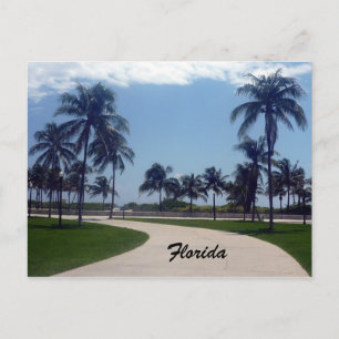 Carte Postale chemin de la plage de florida