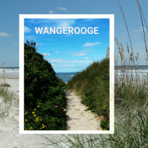 Carte Postale Chemin de la plage, dunes de sable, Wangerooge, Fr