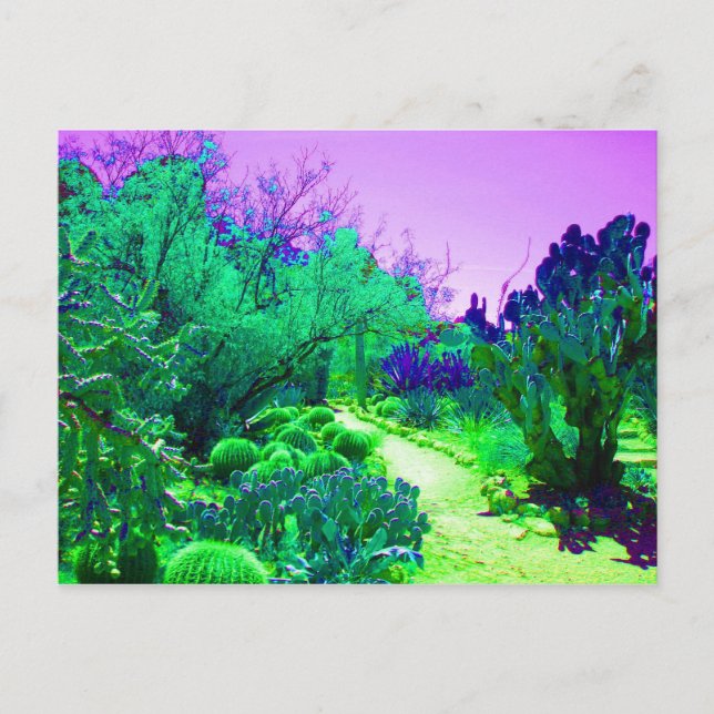 Carte Postale Chemin de l'Arizona Cactus (Devant)