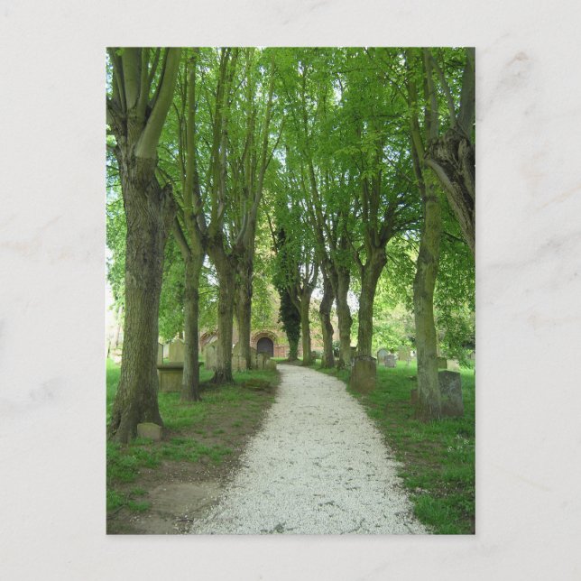 Carte Postale Chemin de l'église (Devant)
