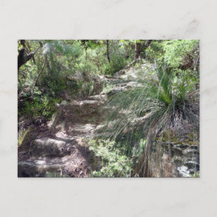 Carte Postale chemin de montagnes bleues