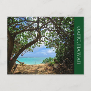 Carte Postale chemin de plage de oahu
