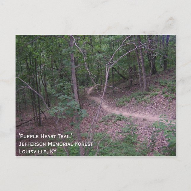 Carte Postale 'Chemin du coeur pourpre' (Devant)
