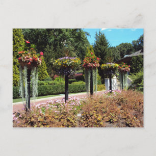 Carte Postale Chemin du jardin