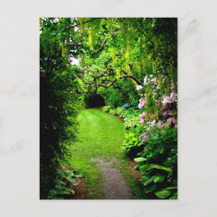 Carte Postale Chemin du jardin