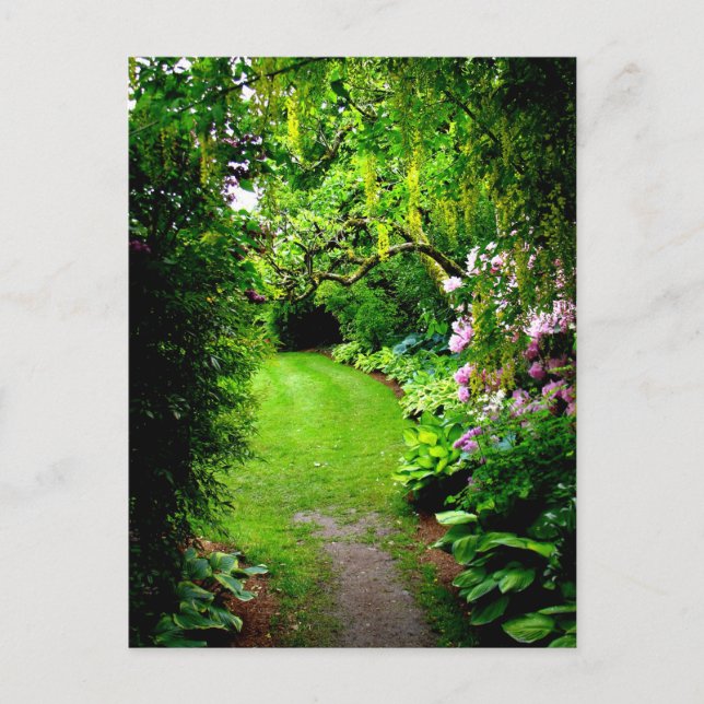 Carte Postale Chemin du jardin (Devant)