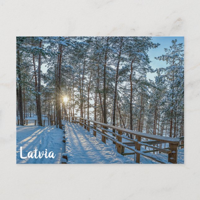 Carte Postale Chemin en bois sur la forêt d'hiver enneigée (Devant)