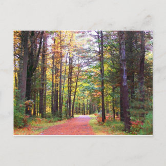 Carte Postale chemin.jpg