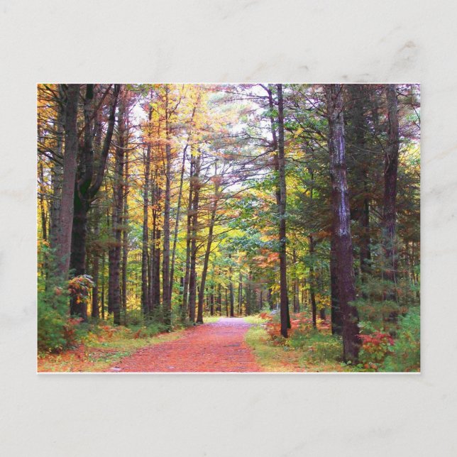 Carte Postale chemin.jpg (Devant)