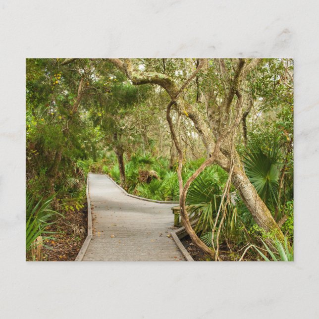 Carte Postale Chemin, Réserve nationale de faune de l'île Merrit (Devant)