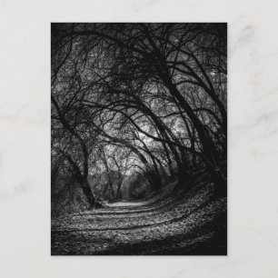Carte Postale Chemin sombre