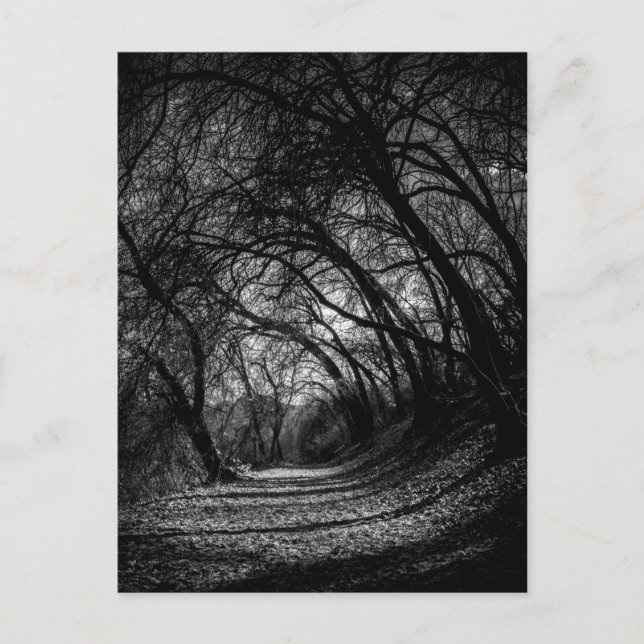 Carte Postale Chemin sombre (Devant)