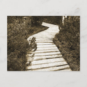 Carte Postale Chemin Sur La Mer De Tourbe En Couleur Sepia