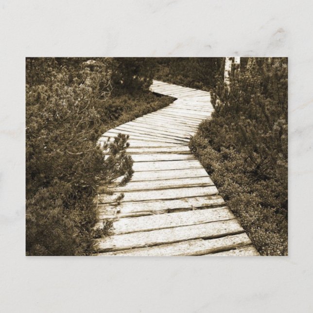 Carte Postale Chemin Sur La Mer De Tourbe En Couleur Sepia (Devant)