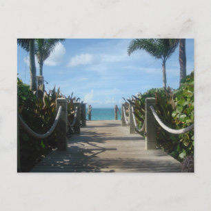 Carte Postale Chemin vers la plage