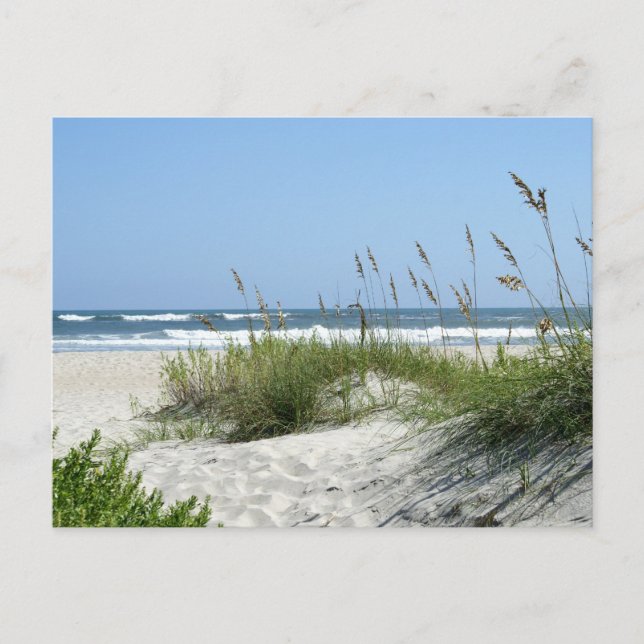 Carte Postale Chemin vers l'île Sea-Ocracoke (Devant)