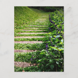 Carte Postale Chemin vert