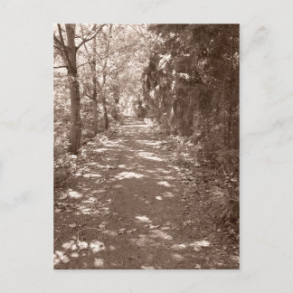 Carte Postale Chemin Woods—Sepia