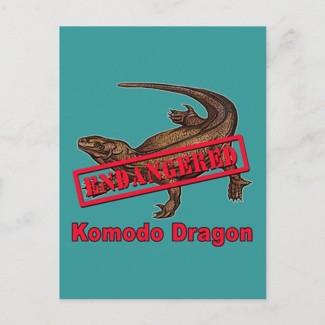 Carte Postale Chemises de dragon Komodo en voie de disparition (Devant)