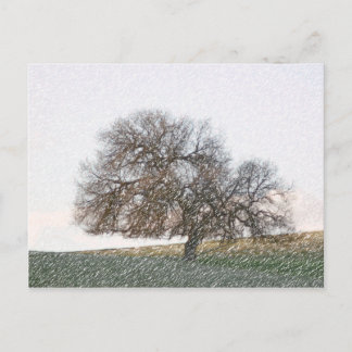 CARTE POSTALE - Chêne oublié