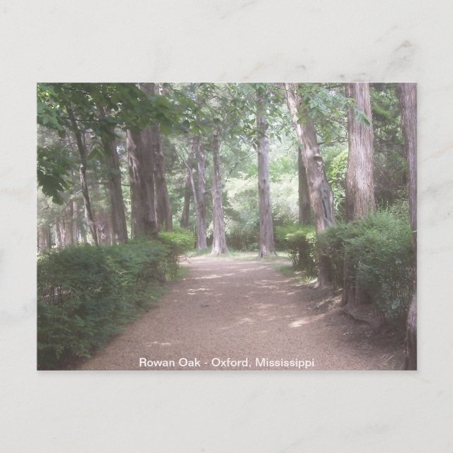 Carte Postale Chêne Rowan (Devant)