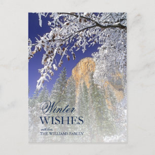 Carte Postale Chênes noirs en neige à Yosemite