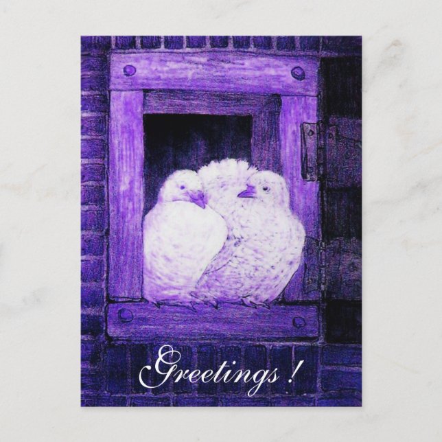 Carte Postale CHÈQUES BLANCHES À LA FENÊTRE bleu violet (Devant)