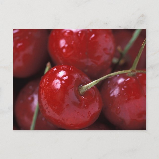 CARTE POSTALE CHERRIES (Devant)