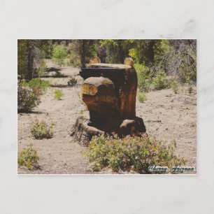 Carte Postale Cherry, Arizona