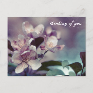 Carte postale Cherry Blossom 1