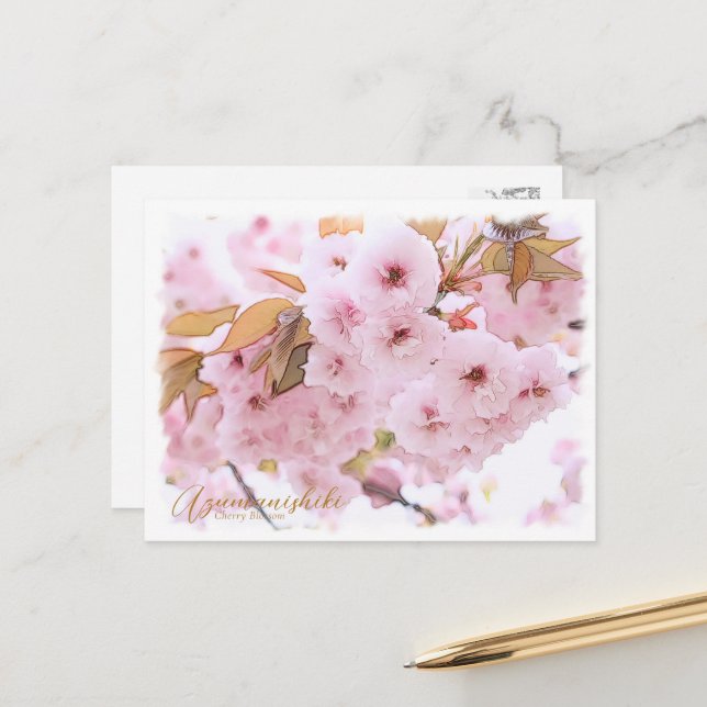Carte Postale Cherry Blossom "Azuma-nishiki" ポストカード (Devant/Arrière en situation)