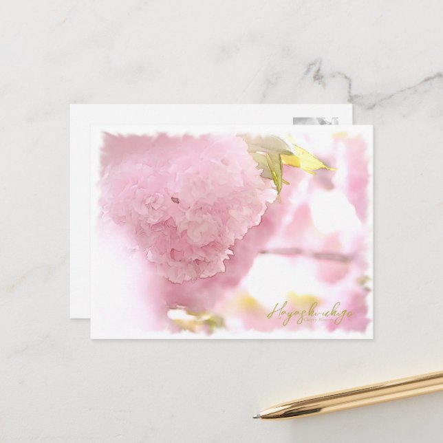 Carte Postale Cherry Blossom "Hayashi-ichigo" ポストカード (Devant/Arrière en situation)