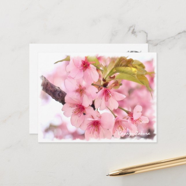 Carte Postale Cherry blossom: Kawazu-Zakura ポストカード (Devant/Arrière en situation)