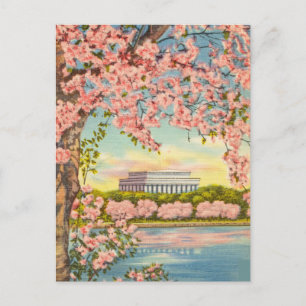Carte Postale Cherry Blossoms à Washington D.C.