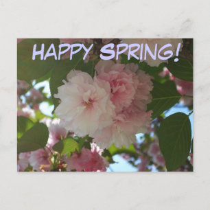 Carte Postale Cherry Tree I Spring Floral