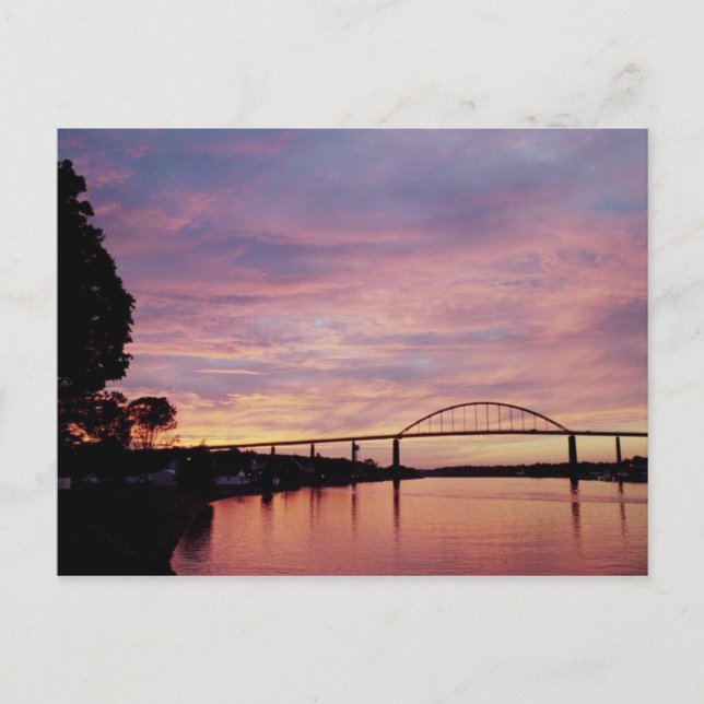 Carte Postale Chesapeake (Devant)