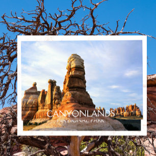 Carte Postale Chesler Park, Needles, parc national de Canyonland