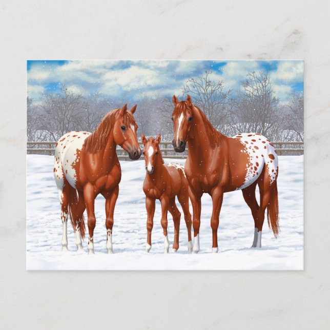 Carte Postale Chestnut Appaloosa Sorrel Quarter Chevaux en Neige (Devant)