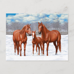 Carte Postale Chestnut Sorrel Quarter Chevaux En Neige