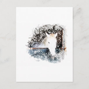 Carte Postale Cheval