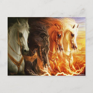 Carte Postale Cheval